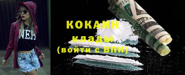 бошки Каменка