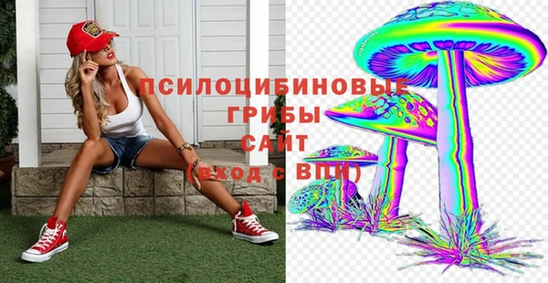 МДПВ Каменск-Шахтинский