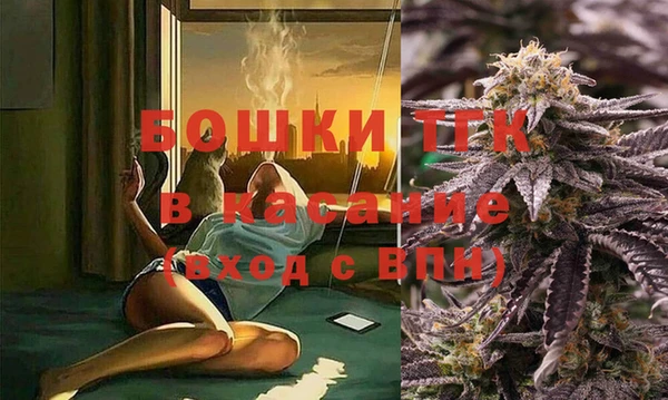 бошки Каменка